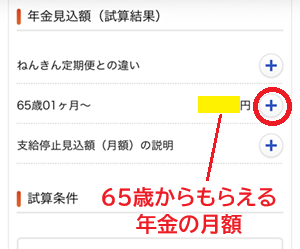 年金の見込み額